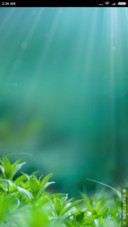 Time Garden