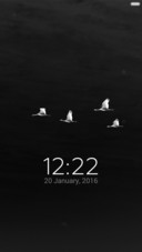 IN Freedom