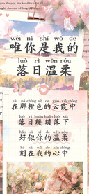 唯你是我的落日温柔