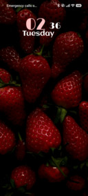 Berry Bloom