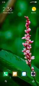 Blossom_DWM2