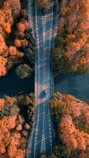 Scenery  (16)
