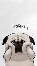 就是这么“稳”