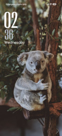 Cute Animal