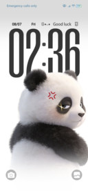 Animated Panda