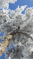 Jilin natural scenery