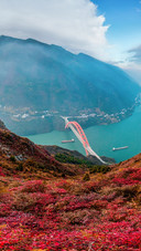How beautiful are the red leaves of the Three Gorges 04