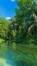The coconut trees sway gently and the sea and sky stretch