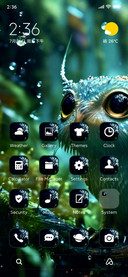 Rain owl