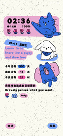 呆呆猫