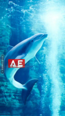 AE蓝鲸