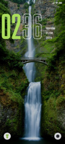 Evergreen Forest