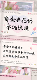 郁金香花语永远浪漫