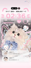 超甜蝴蝶猫猫