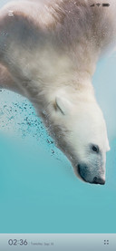 Polar