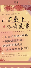 山茶盛开似你爱意