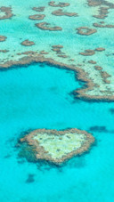Scenery (8)