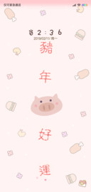 可爱 猪年好运