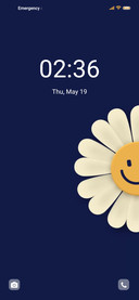Smiling Daisy