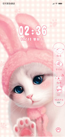 网红 粉红猫