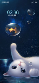 猫咪与金鱼姬