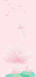 爱之莲蓬花