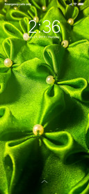 Acrlliyic Greenery_DWM3