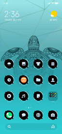 Turtle