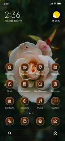 White Rose