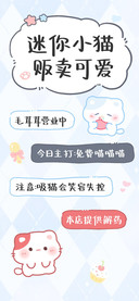 迷你小猫贩卖可爱