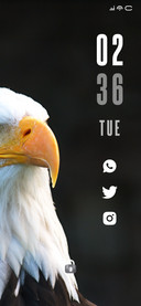 Eagle Look