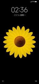 简 flower