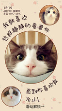 喵星人一直看着你(全图标&amp;自由桌面)