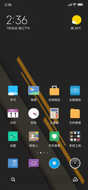 极点