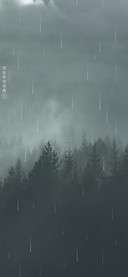 森林之雨