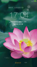 爱莲之印象