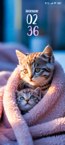 Cozy Cats