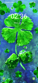 Four Leaf Clover