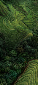 NaturalTexture06