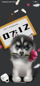 my-husky