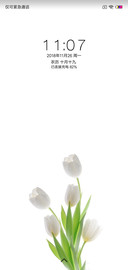 简  花