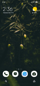 Nature Bounty