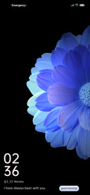 Bloom