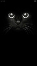 猫眼
