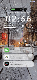 雪落街头 双模式