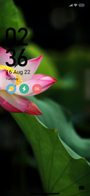 Lotus