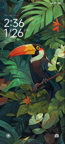 Forest toucan