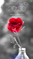 玫瑰花语