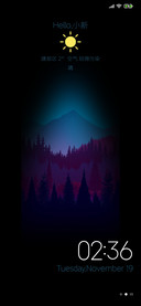 Nocturnal forest