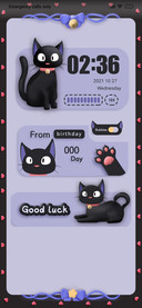 Swarthy cat